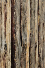 Wooden background