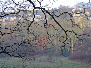 Dixies in December collection