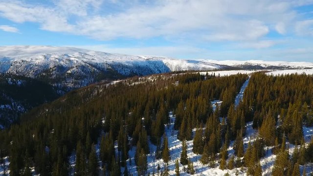 Flight over a coniferous forest in winter near Hessdalen