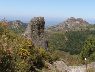 Fototapeta premium Roca en sendero por Ribera Sacra