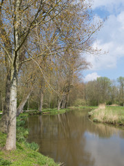 Fototapeta na wymiar Park in spring in Zwolle, The Netherlands