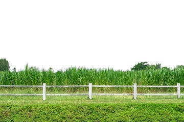 Farm fence in white background