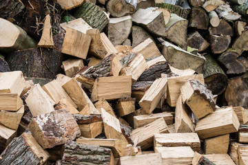 Log pile of chopped tree trunks for firewood
