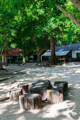 Wooden stumps on the sandy beach at Similan Islands