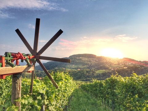 Klapotetz an s&uuml;dsteirischer Weinstrasse, Weinberge in &Ouml;sterreich