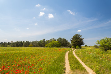 Paesaggio primaverile