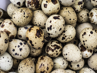 Quail eggs close-up as background