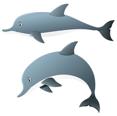 Dolphins in two actions