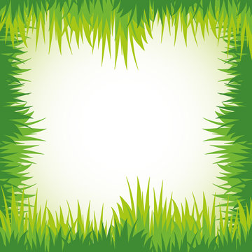 Green grass for frame template