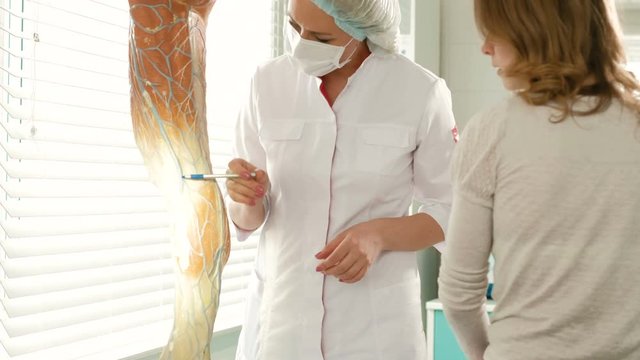 The doctor in the clinic of surgical venous vascular surgery shows on the breadboard model of the leg to the patient 4k