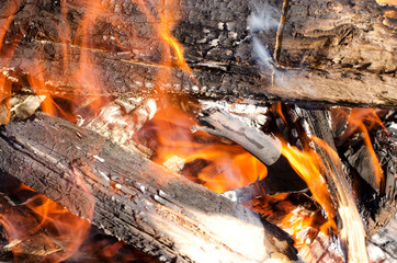 Burning firewood with red fire close-up