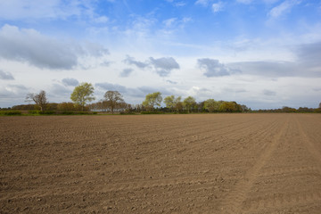 Obraz premium lines and patterns in plowed soil