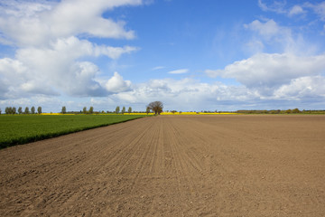 plowed field in springtime