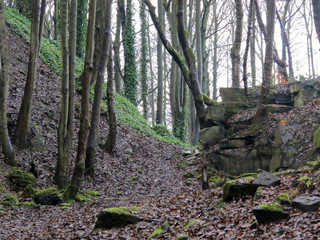 Dixies in December collection