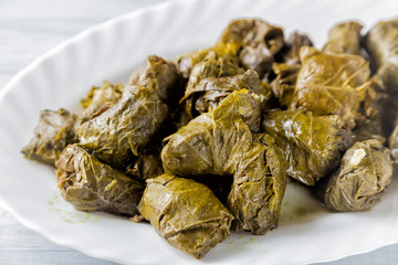 Dolma stuffed meat in grape leaves on white plate close up with selective focus