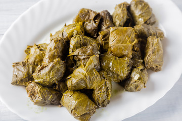 Dolma stuffed meat in grape leaves on white plate close up with selective focus
