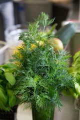 Bunch of fresh dill in glass. On the background of the ingredients on the kitchen table