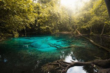 green water small lake in the jungle