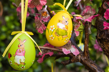 Uova di pasqua su albero fiorito