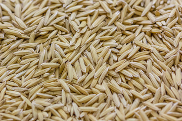 rice Background from Thailand