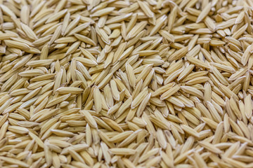 Fototapeta premium rice Background from Thailand