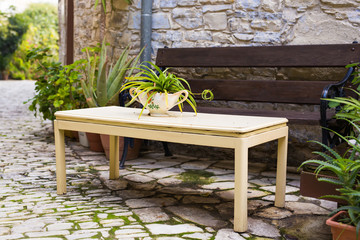 Table and bench on the back yard