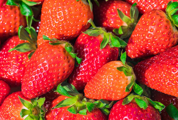 Rote Erdbeeren Früchte