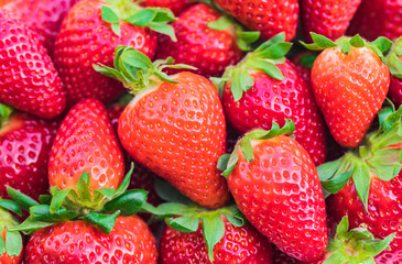 Strawberries fresh organic berries macro fruit background