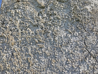 Texture of dark cement wall