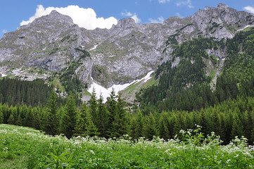 Tatry szczyty © Dariusz Pokus