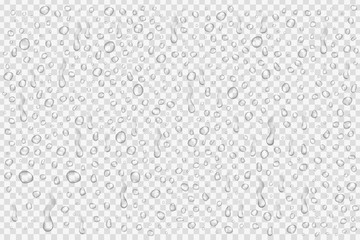 Vector set of realistic water droplets on the transparent background. - obrazy, fototapety, plakaty