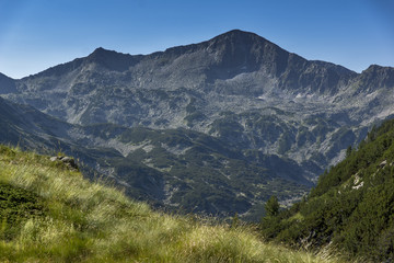Fototapeta na wymiar Amazing Panorama of Banderishki Chukar peak, Pirin Mountain, Bulgaria