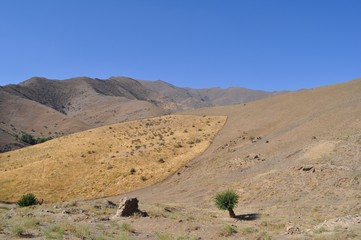 Montagne de Nourata, Hayat, Ouzbékistan - 144643178