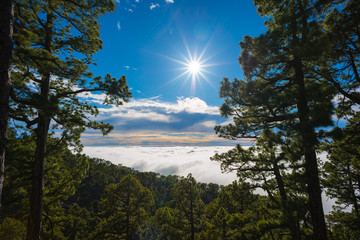 La Palma above clouds