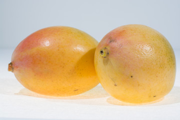 Two ripe organic yellow mangoes ready to eat close up