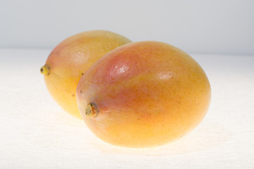 Two ripe organic yellow mangoes ready to eat close up