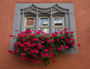 Beautiful window in an old stone house. The window consists of three parts. In the foreground there are red flowers. Germany. Erfurt.