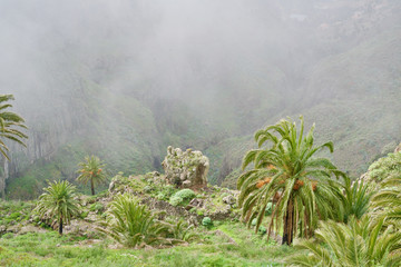 Fototapeta na wymiar La Gomera in the clouds