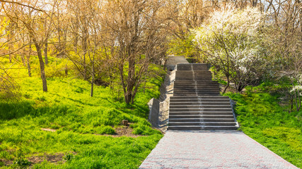 Vintage photo of stone stairs in spring forest