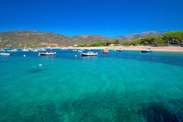 Cercles muraux Plage de Palombaggia, Corse Île de Corse méditerranéenne avec pins, plage de sable, eau claire tourquise et yachts dans la baie, Corse, France