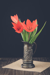 Kleine rote Tulpen