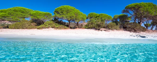 Store enrouleur occultant Plage de Palombaggia, Corse Plage de sable de Palombaggia avec pins et eau claire azur, Corse, France, Europe.
