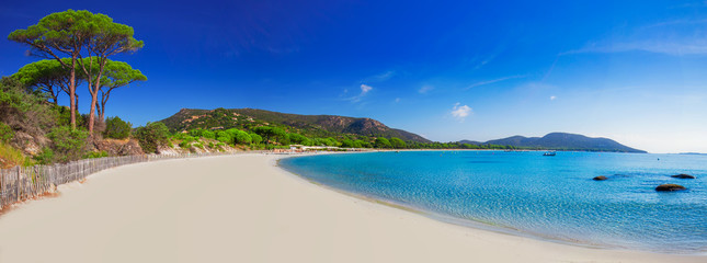 Plage de sable de Palombaggia avec pins et eau claire azur, Corse, France, Europe.