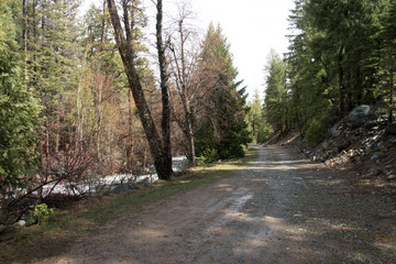 rural road 3