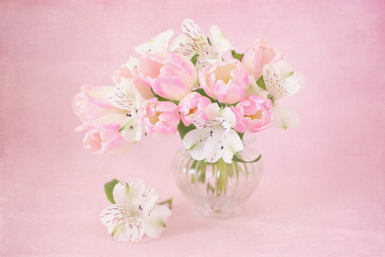 Gentle pink tulips on a pink background with a texture.Vintage style ,grunge paper background. 