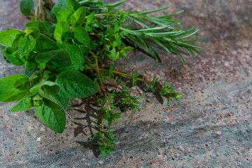 Fresh garden Italian herbs, copy space