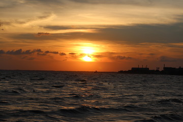 Seagulls are flying in a Summer sky at sunset 