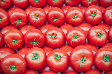 Tomatoes