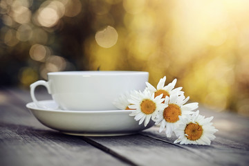 White cup and a bouquet of camomiles on a table.