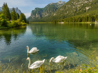 Summer landscape with peaceful lake and mountains in background.Lago di Dobbiaco,Italy.Dolomites are on UNESCO World Heritage List.